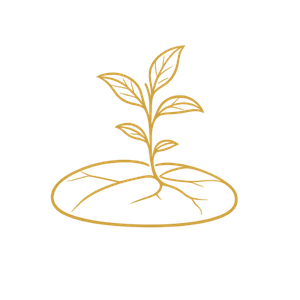 Rooted in something real